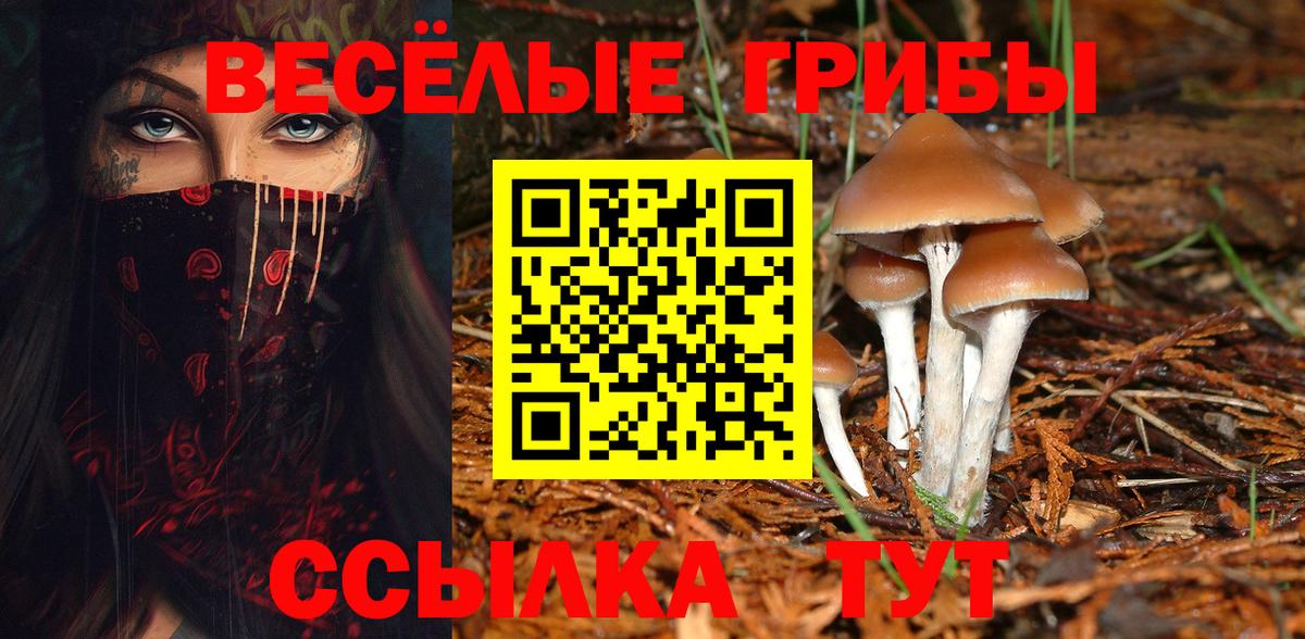 Псилоцибиновые грибы мухоморы Энгельс